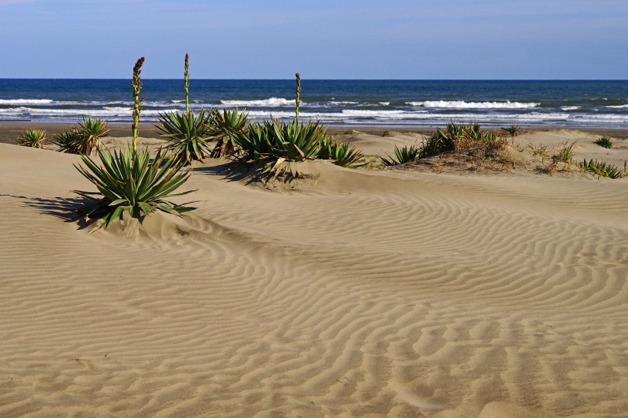 e0229455_13301281.jpg