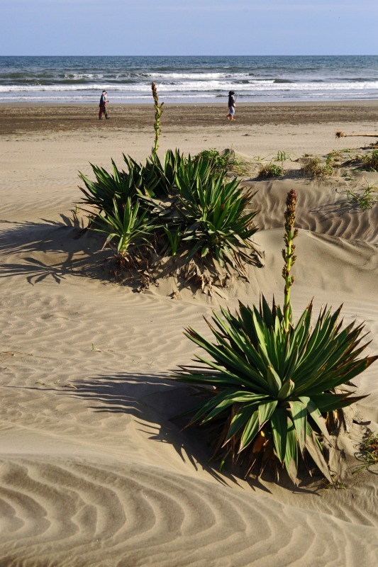e0229455_13303516.jpg