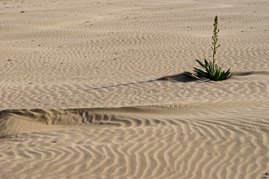e0229455_13304209.jpg