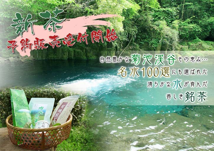 菊池水源茶 秋の剪定で春にそろって芽吹かせます!こだわり有機栽培のお茶、紅茶好評発売中!_a0254656_19010036.jpg
