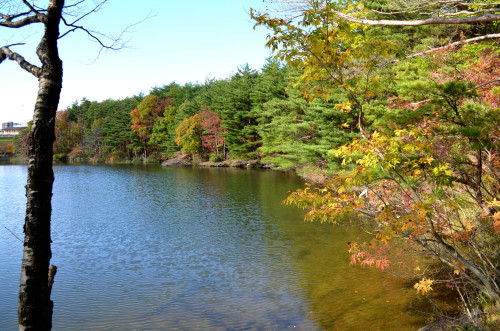d0283357_12401998.jpg