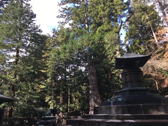 e0079857_19180939.jpeg