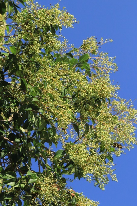 a0248459_20380737.jpg