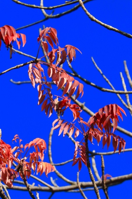 a0248459_20385399.jpg