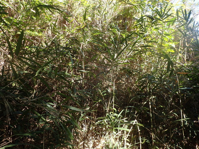 d0171959_18035219.jpg