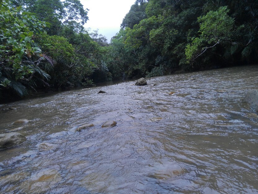 d0172661_11525786.jpg