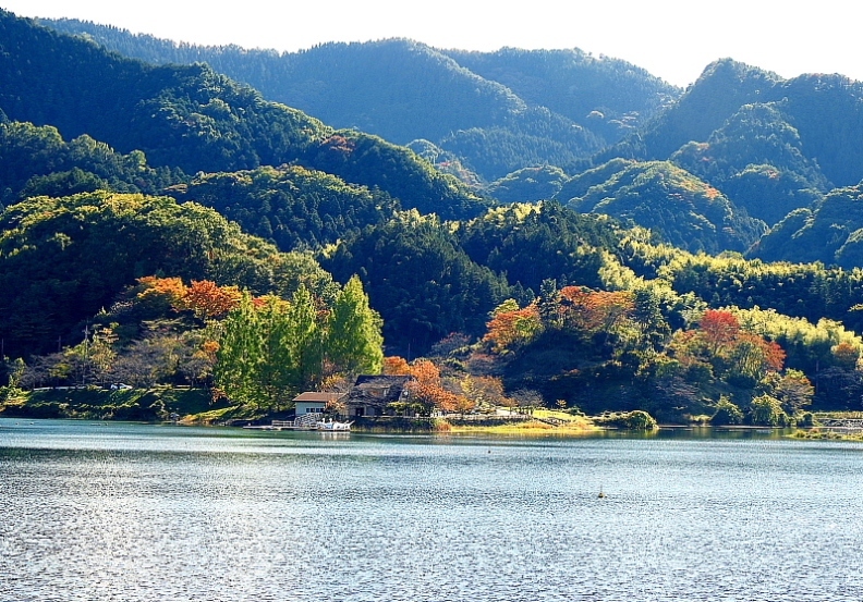 c0305565_17335429.jpg