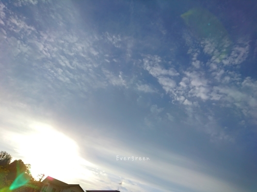 d0362666_08473869.jpg