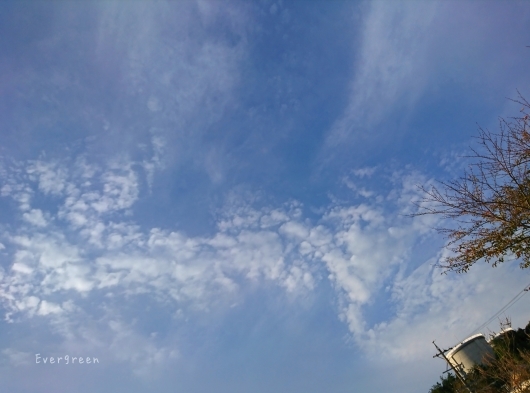 d0362666_08475143.jpg