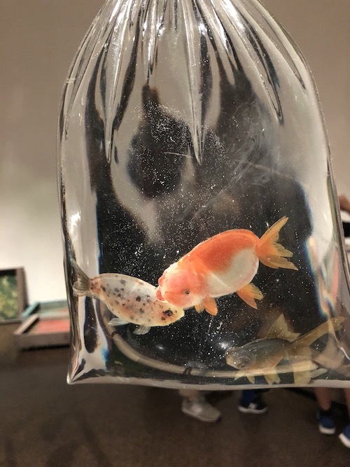 深堀隆介展_f0324766_18145625.jpg