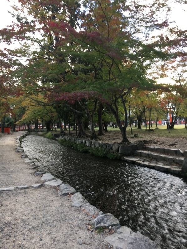 f0363168_18215383.jpeg