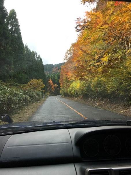 秋の日本海は、紅葉、温泉、カニ、ホルモンそばと波が楽しめる。_f0009169_08103880.jpg