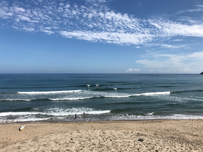 秋の日本海は、紅葉、温泉、カニ、ホルモンそばと波が楽しめる。_f0009169_08140642.jpg