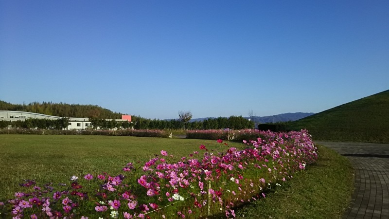 b0155370_12375718.jpg