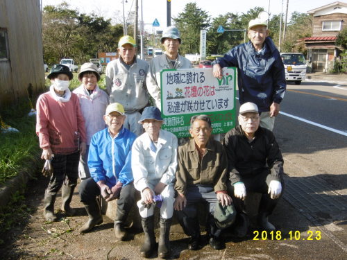 来年の春が楽しみ♪_b0164376_15490327.jpg