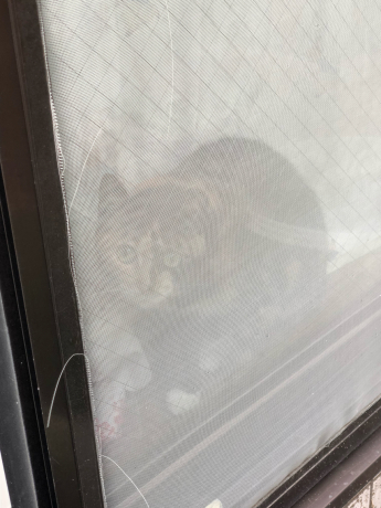 えらいこっちゃ(>_<)_e0355177_16002680.jpg