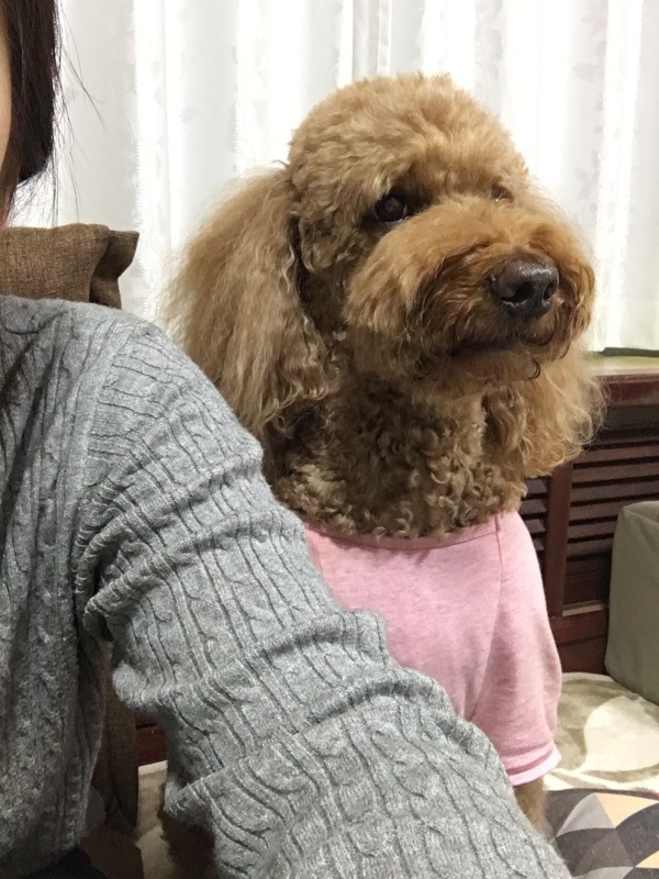 c0283778_21594829.jpeg