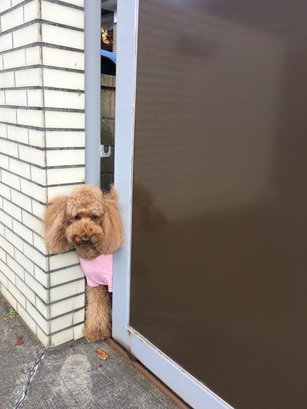 c0283778_22063964.jpeg