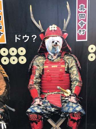 b0193480_15264801.jpeg