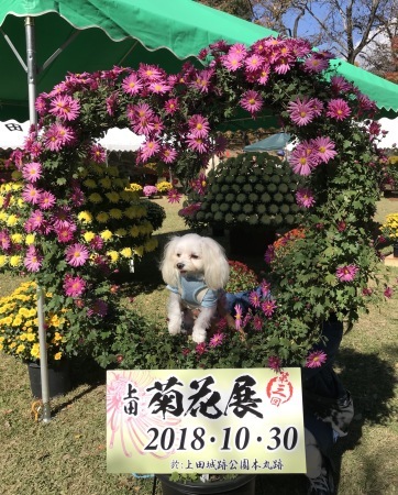 b0193480_15274422.jpeg