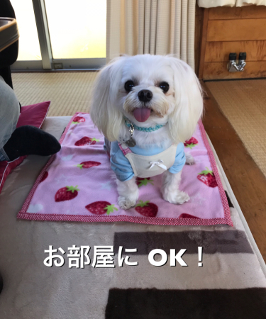 b0193480_15285532.jpeg