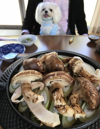b0193480_15291546.jpeg