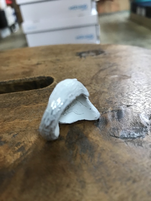 「白キツネ」化ける!★?_d0152280_20231876.jpeg