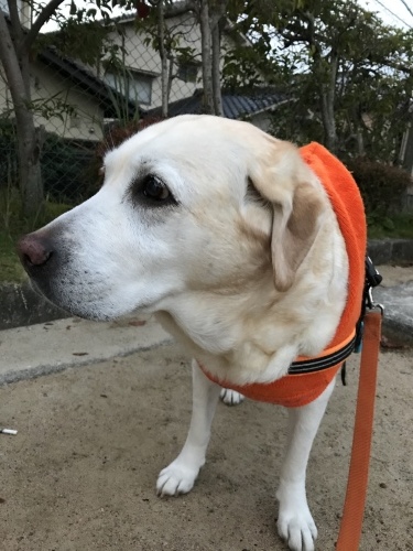 f0315081_22320369.jpeg