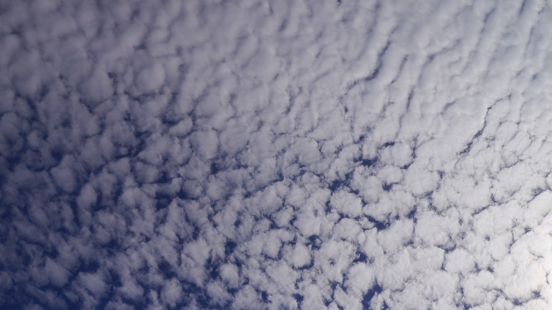 b0018682_22524563.jpg
