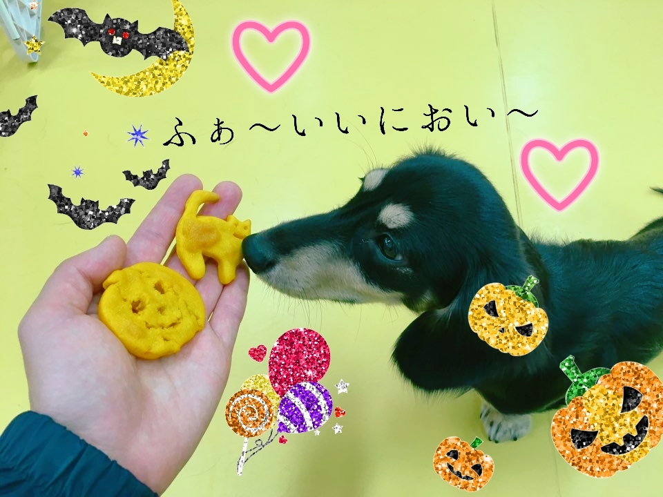 ThisisHalloween♪_f0357682_21101313.jpg