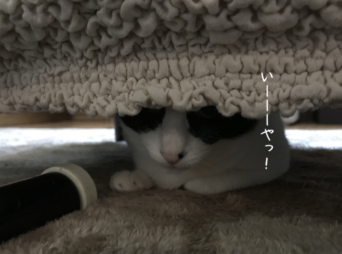 a0216583_23293608.png