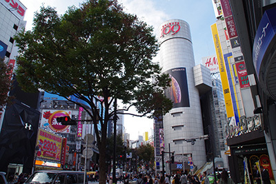 b0056983_12292011.jpg