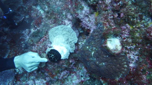 c0270286_18361815.jpg