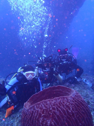 c0270286_18472027.jpg