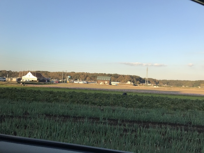 a0027290_21051286.jpeg
