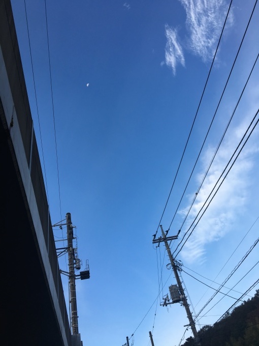 b0042190_22232920.jpeg
