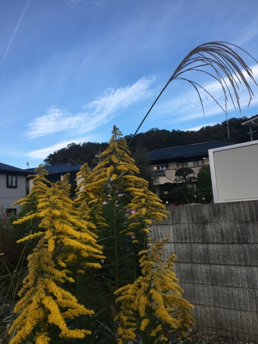b0042190_22234730.jpeg