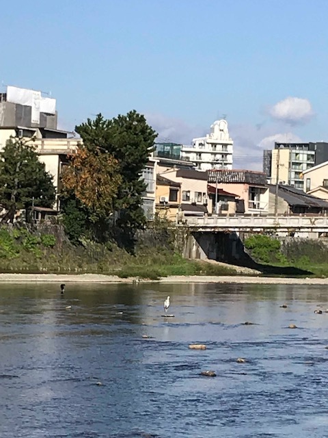 京都でランチ_f0204295_10535011.jpg