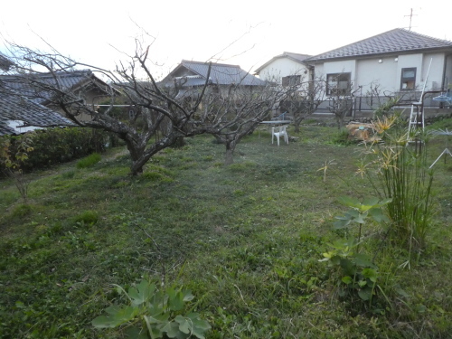 c0108198_17525272.jpg