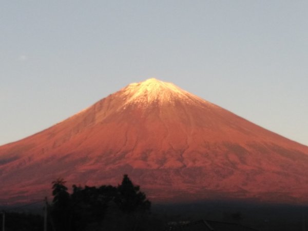 f0136398_20112772.jpg