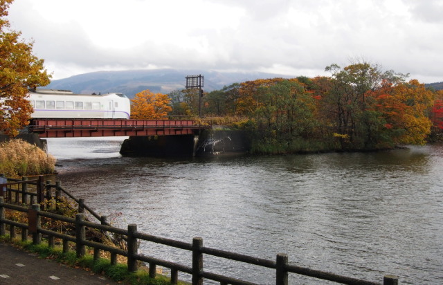 紅葉の大沼公園 秋の旅行 １日目10 27の 今日の鳥さん