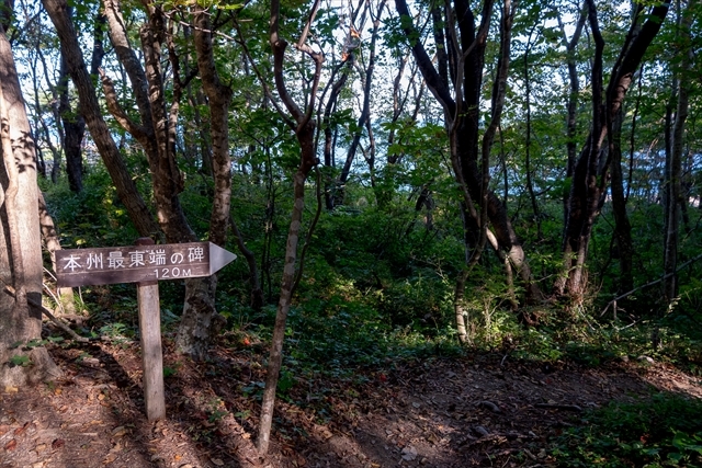 東北地方一周 車中泊の旅 6日目_d0001300_17262949.jpg