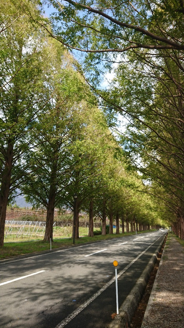 f0337700_20482007.jpg