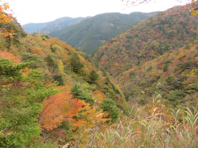 c0125501_15472239.jpg