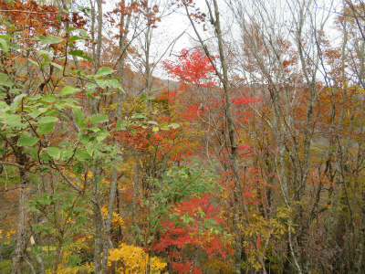 c0125501_15472760.jpg
