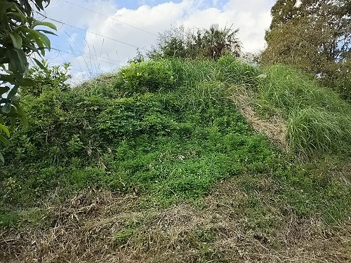 c0182302_19392258.jpg