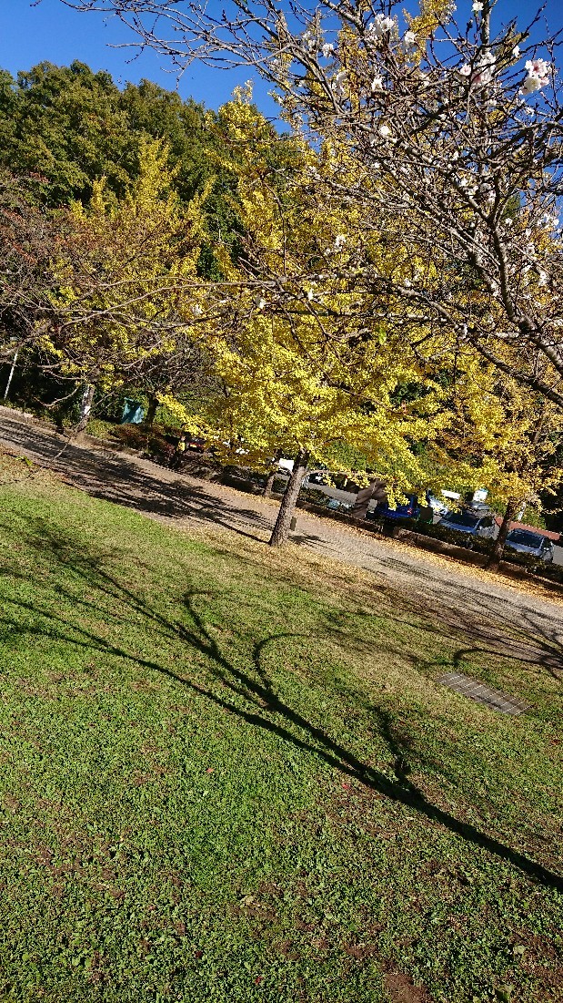 f0109202_20193980.jpg