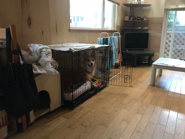 幸太くんの病気について_f0242002_13044111.jpg