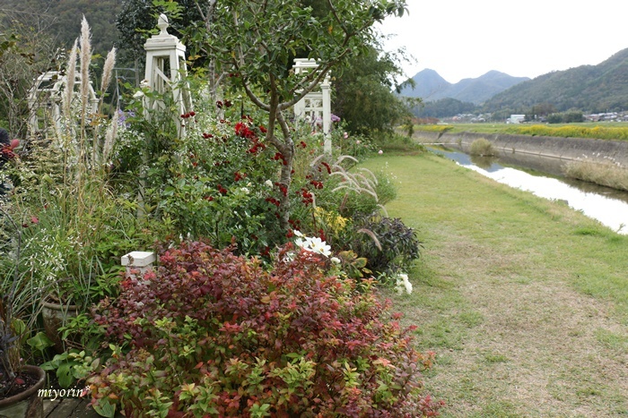 a0123003_09170470.jpg