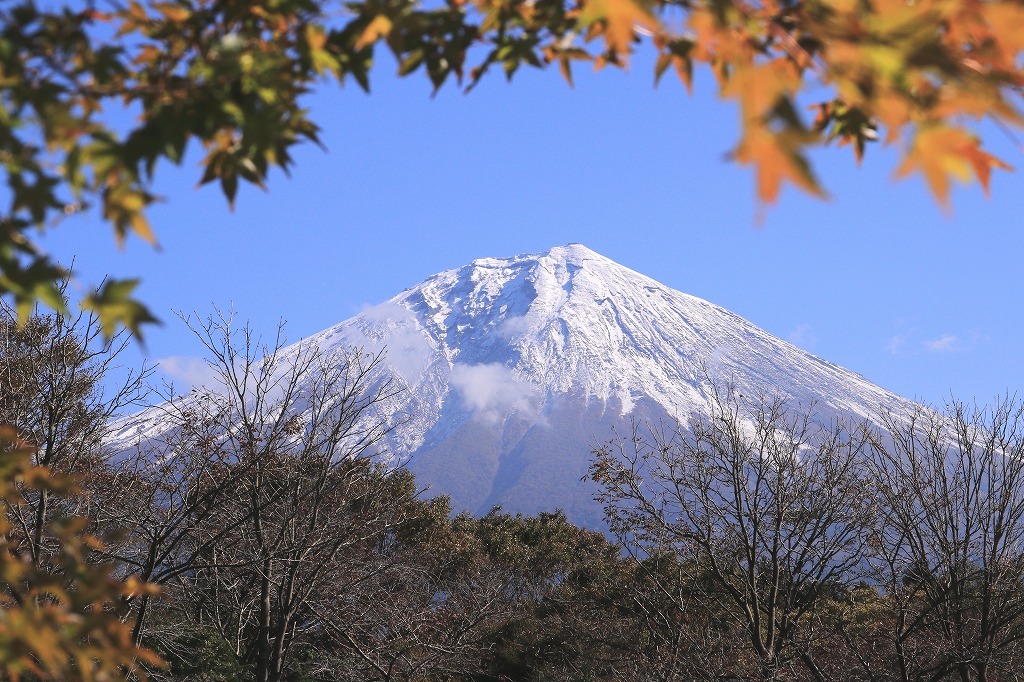 a0188405_05581105.jpg